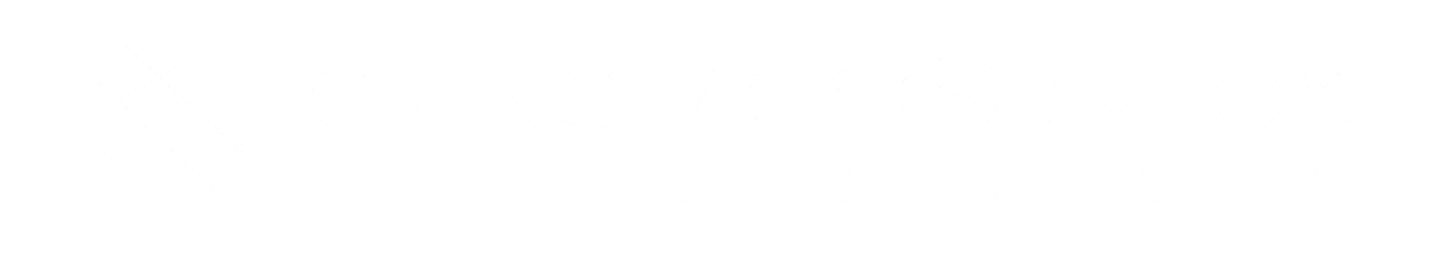 Tele Network Solutions LLC